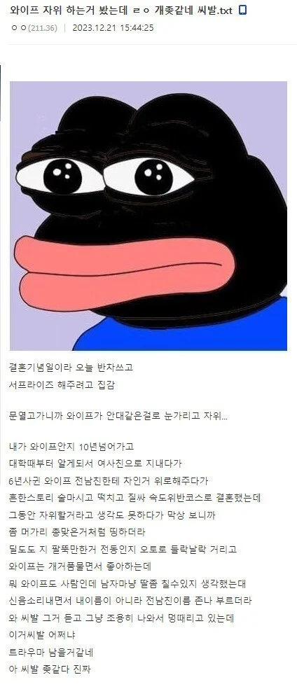 아내의 자X하는 모습을 봐버린 남편...