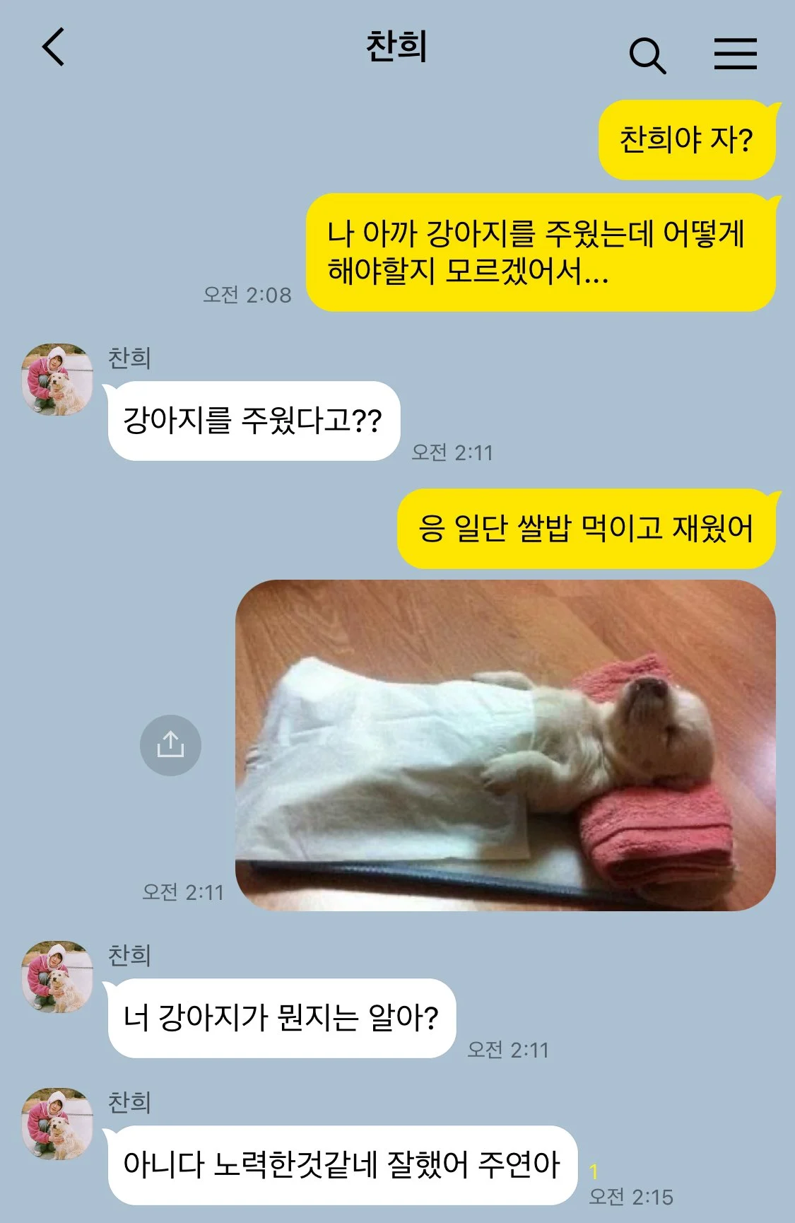 모르는 강아지를 주웠다